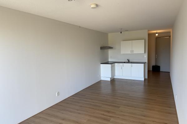 private-rentals for rent on Elizabeth Cady Stantonplein
													219